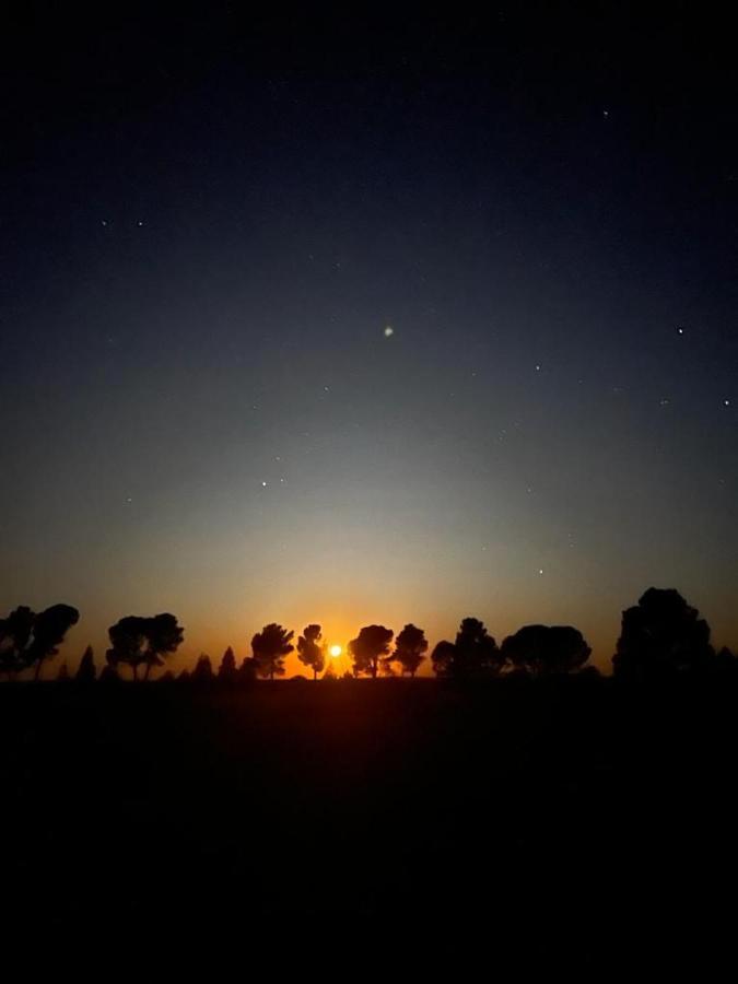 Three Sons Guest Farm Villa Loxton ภายนอก รูปภาพ